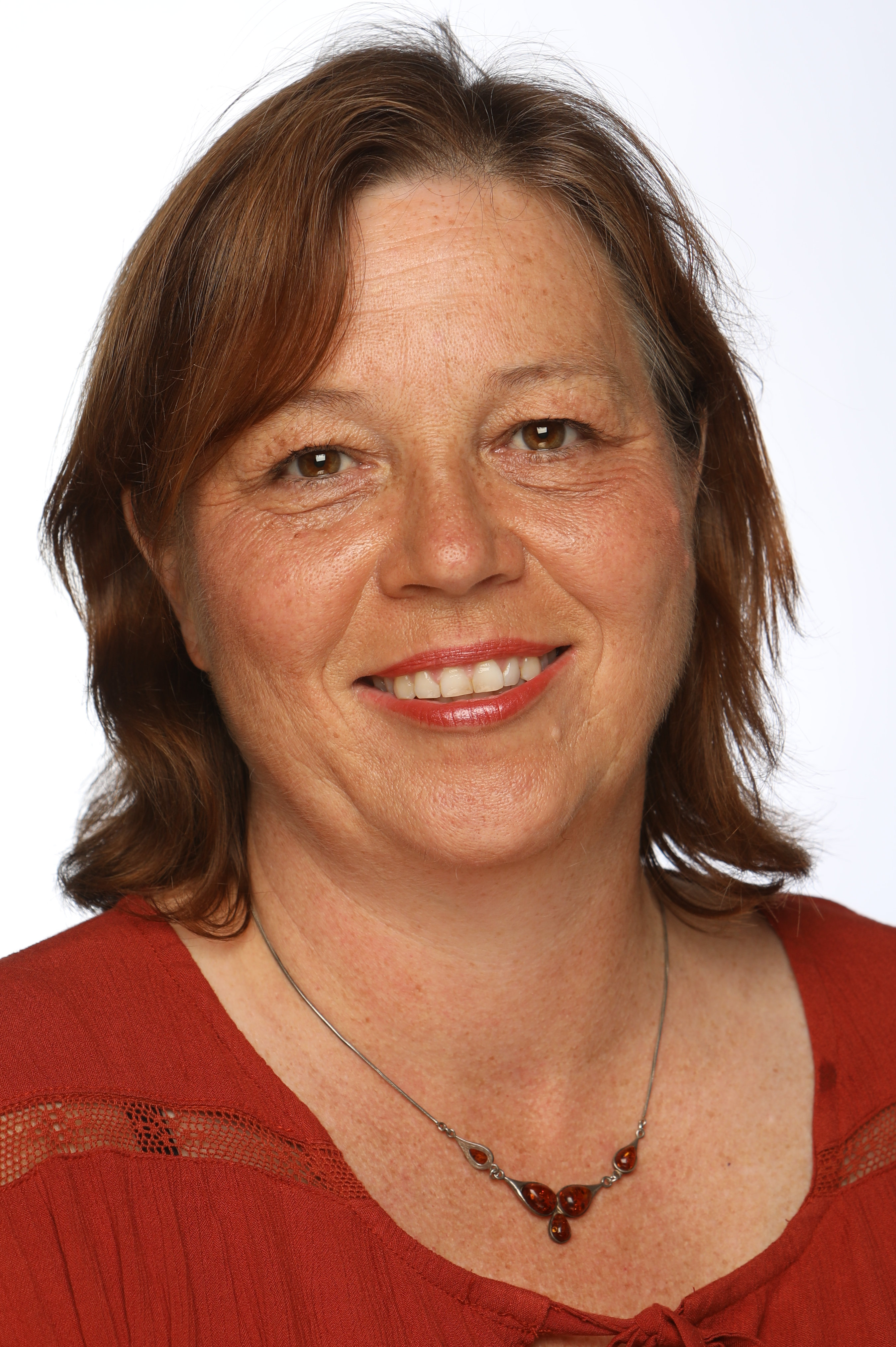 Resultat af konstitueringen